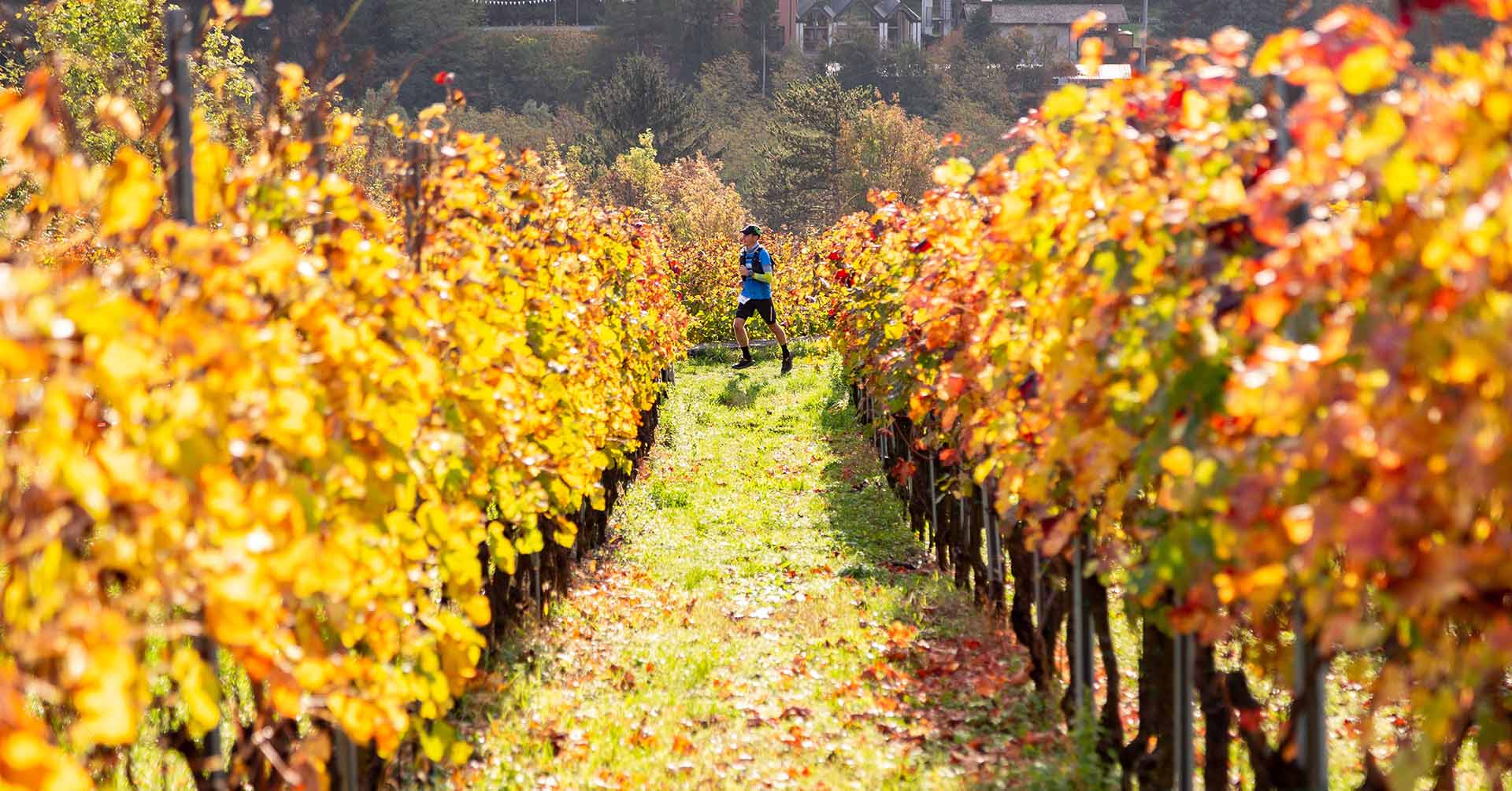 LIVE2 | Valle dei segni wine trail  